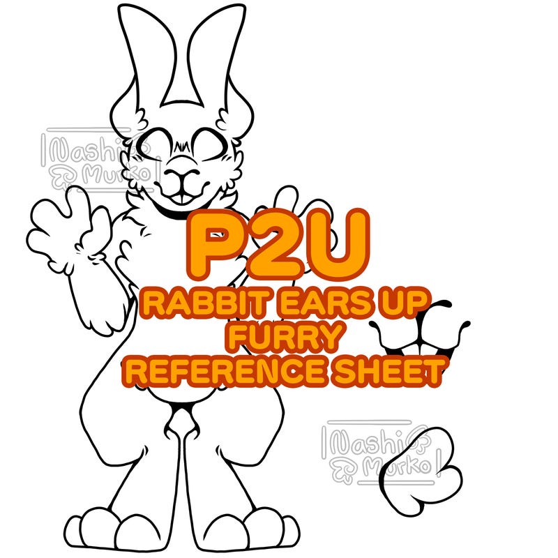 Base Rabbit Cartoon Rabbit Reference Sheet Base - Etsy