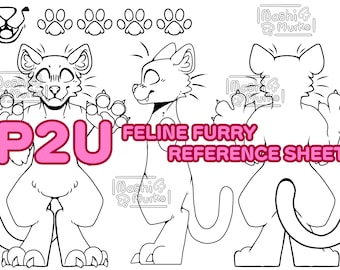 Kot | Trójstronny arkusz referencyjny Fursony dla kotów Podstawa | Grafika i podstawa futrzana