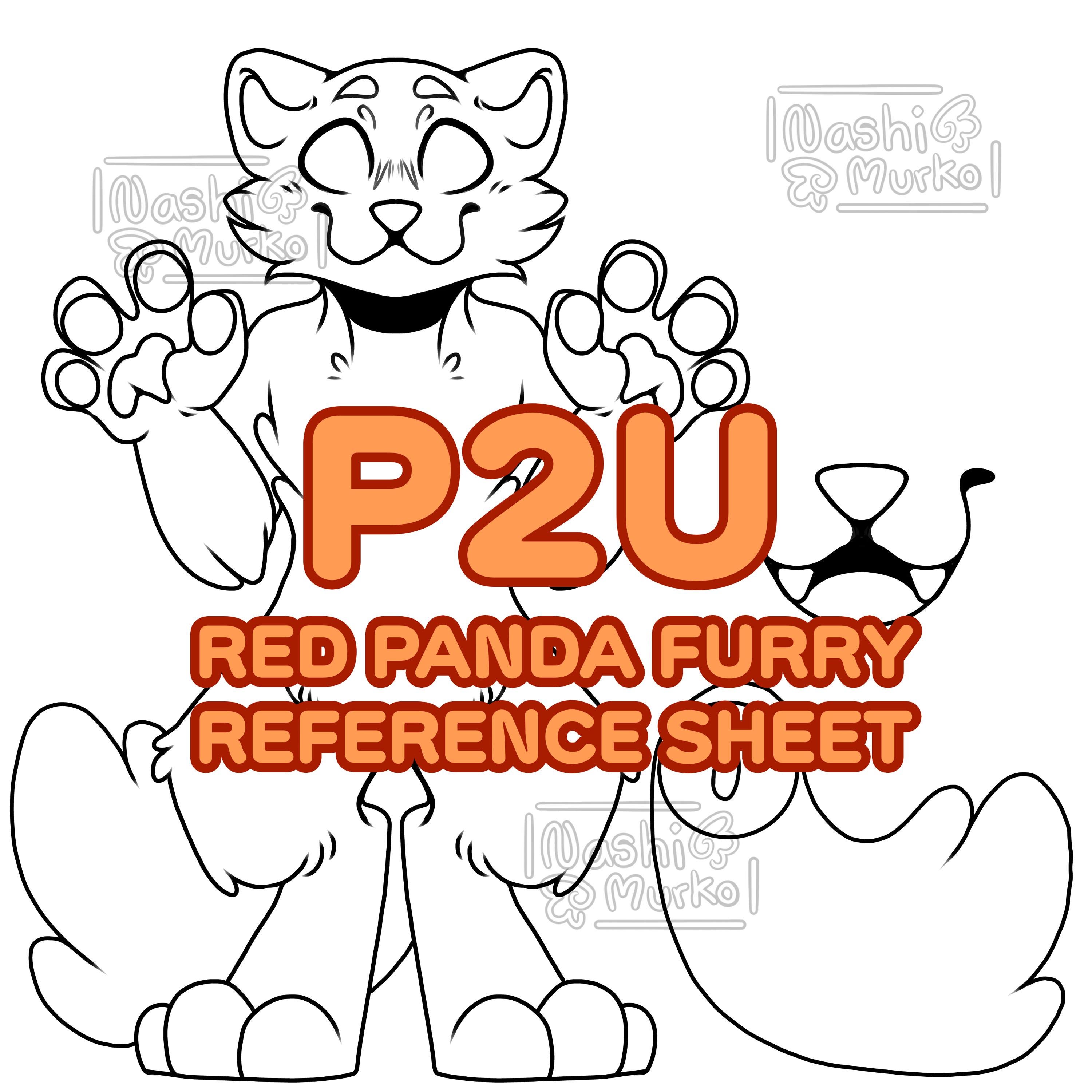 Red Panda Fursona Reference Sheet Base | Furry Line Art & Base - Etsy