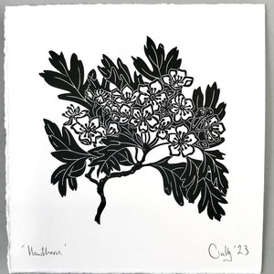 Hawthorn blossom linoprint
