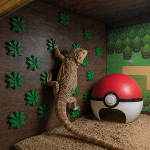 May include: A brown bearded dragon lizard climbs a wooden wall with green leaf decorations. A red and white Pokeball-themed hide is in the corner of the enclosure. The background features a cartoon landscape.