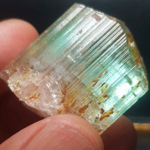 177 CT Top Quality Seaform Bi Color Tourmaline Crystal, Rough Tourmaline Crystal, Bi Color Tourmaline, Raw Tourmaline, Natural Tourmaline