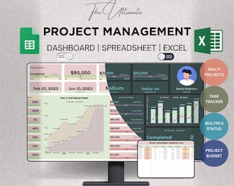 Dashboard di gestione del progetto Fogli Google ed Excel / Dashboard del progetto / Stato di più progetti / Report sullo stato / Report sul budget