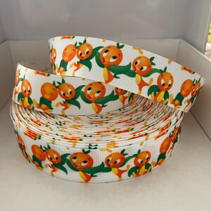 Florida Vogel Ripsband Großaufnahme