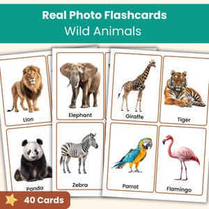 Op de afbeelding: Een set educatieve flashcards getiteld Real Photo Flashcards Wild Animals, met 40 kaarten met realistische afbeeldingen van een leeuw, olifant, giraf, tijger, panda, zebra, papegaai en flamingo, elk gelabeld met de bijbehorende diernaam.