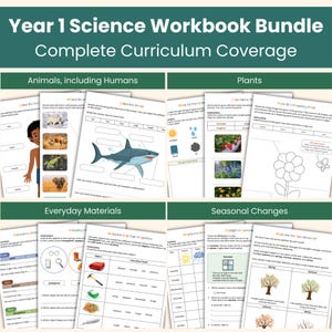 Year 1 Science Workbook Bundle | Complete KS1 Curriculum Units | Animals Including Humans, Plants, Everyday Materials & Seasonal Changes