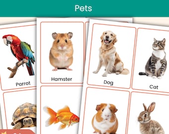 Schede didattiche sugli animali domestici / Schede con vocabolario di foto di animali reali per bambini / Scuola materna e asilo