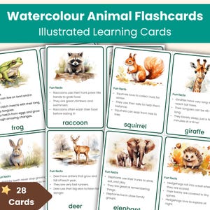 Aquarel dieren flashcards | Dierenfeiten voor kinderen | Afdrukbare leerkaarten
