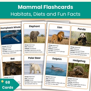 Puede incluir: Un juego de 68 tarjetas didácticas de mamíferos con imágenes y datos sobre hábitats, dietas y datos curiosos. Las tarjetas presentan animales como ballenas, elefantes, leones, pandas, murciélagos, osos polares, delfines y erizos.