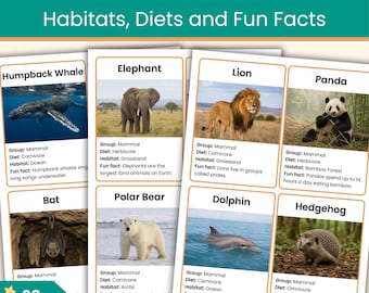 Mammal Flashcards | Animal Classification Cards with Habitats, Diets & Fun Facts | Printable Animal Flashcards for Kids