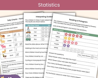 Year 2 Maths Statistics Workbook | Tally Charts, Pictograms, Block Diagrams, Tables | Printable Maths Worksheets