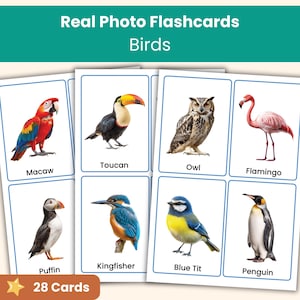 May include: A set of educational flashcards titled Real Photo Flashcards Birds, featuring 28 cards. Each card displays a high-quality photograph of a bird, including a macaw, toucan, owl, flamingo, puffin, kingfisher, blue tit, and penguin, with the name printed below.