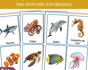 Spanish Sea Animals Flashcards | 24 Printable Vocabulary Cards for Kids | Spanish Lesson Resource