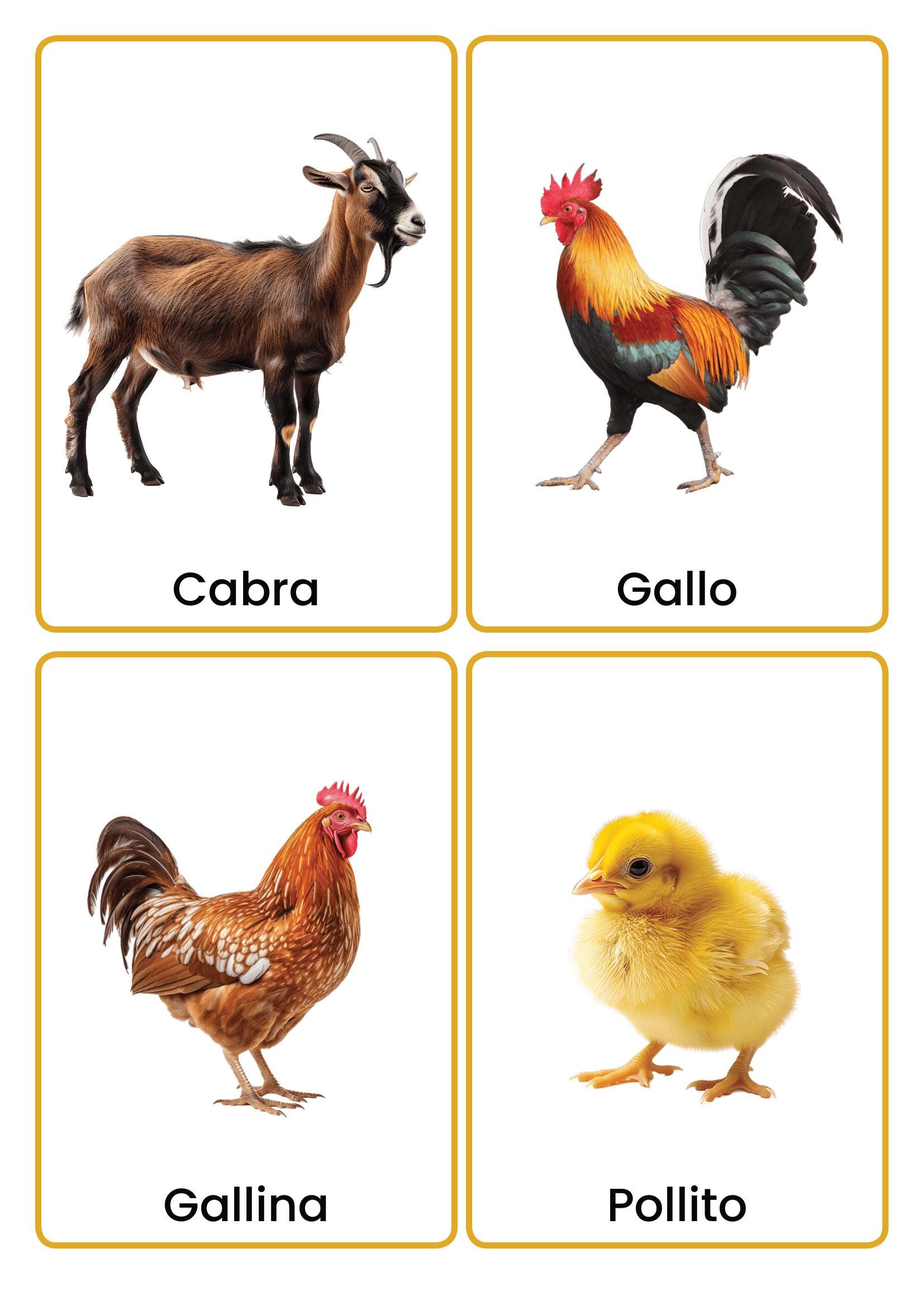 Spanish Farm Animals Flashcards | 24 Printable Vocabulary Cards for ...