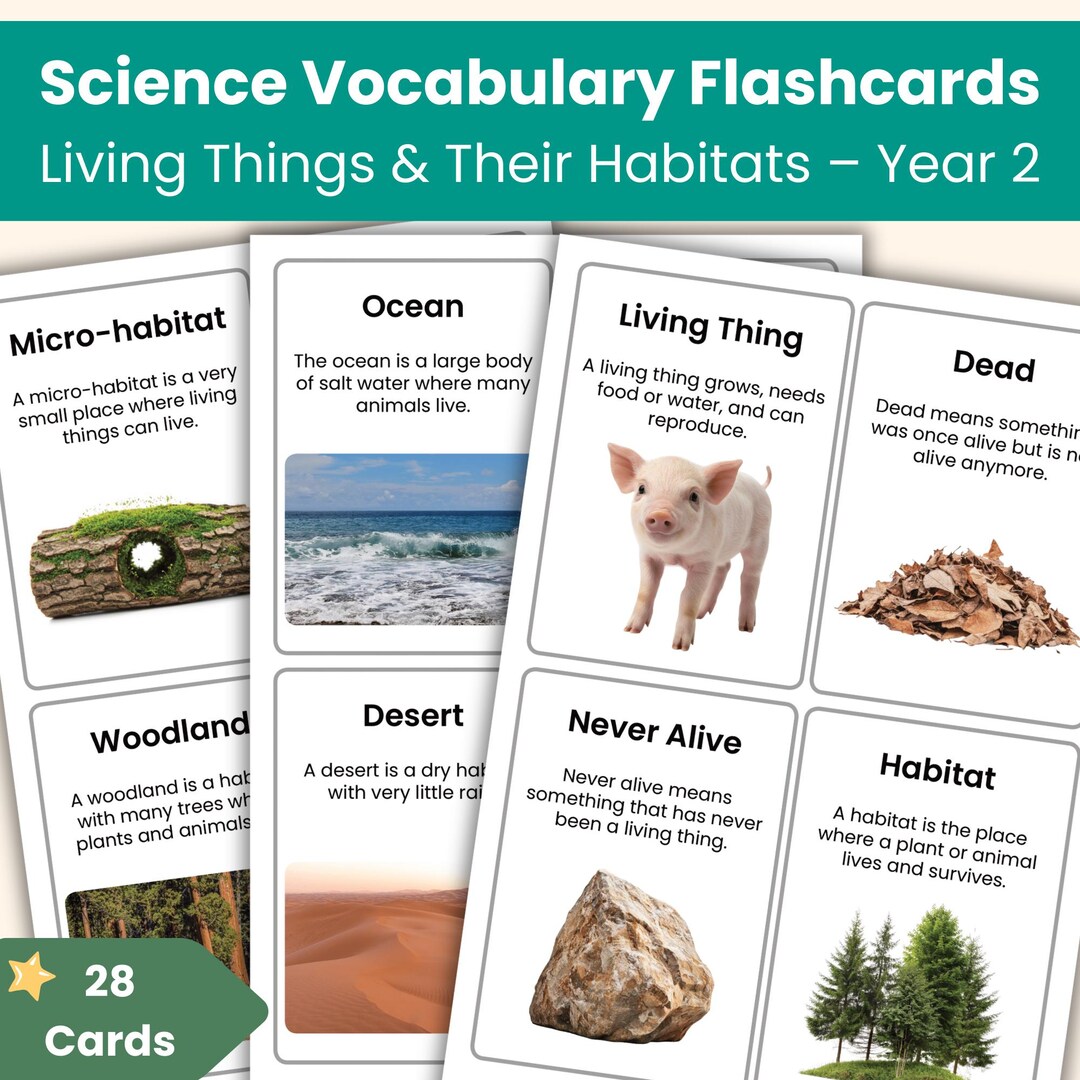 Year 2 Science Living Things and Their Habitats Flashcards | Real Photo ...