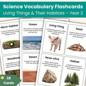 Tarjetas didácticas de ciencias para segundo año: Seres vivos y sus hábitats / Hábitats, cadenas alimentarias / Tarjetas didácticas de ciencias imprimibles