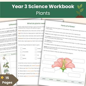 Cahier d'exercices sur les plantes de l'année 3 | Feuilles d'exercices scientifiques KS2 | Ressource imprimable pour le cours de sciences