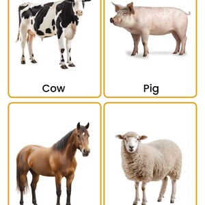 May include: A set of four educational cards with gold borders, each featuring a realistic animal illustration and its name in black text: a black and white cow, a pink pig, a brown horse, and a white, woolly sheep on a plain white background.