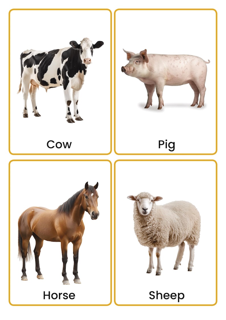 May include: A set of four educational cards with gold borders, each featuring a realistic animal illustration and its name in black text: a black and white cow, a pink pig, a brown horse, and a white, woolly sheep on a plain white background.