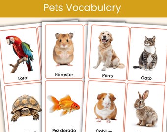 Spanish Pets Flashcards | 24 Real Photo Vocabulary Cards for Kids | Printable Spanish Resource