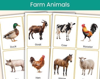 Farm Animals Flashcards | Real Photo Animal Vocabulary Cards for Kids | Preschool & Kindergarten