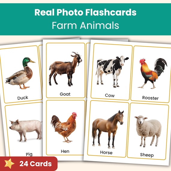 Farm Animals Flashcards | Real Photo Animal Vocabulary Cards for Kids | Preschool & Kindergarten
