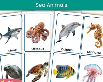 海の動物フラッシュカード｜子ども向けリアル写真動物語彙カード｜幼稚園・保育園