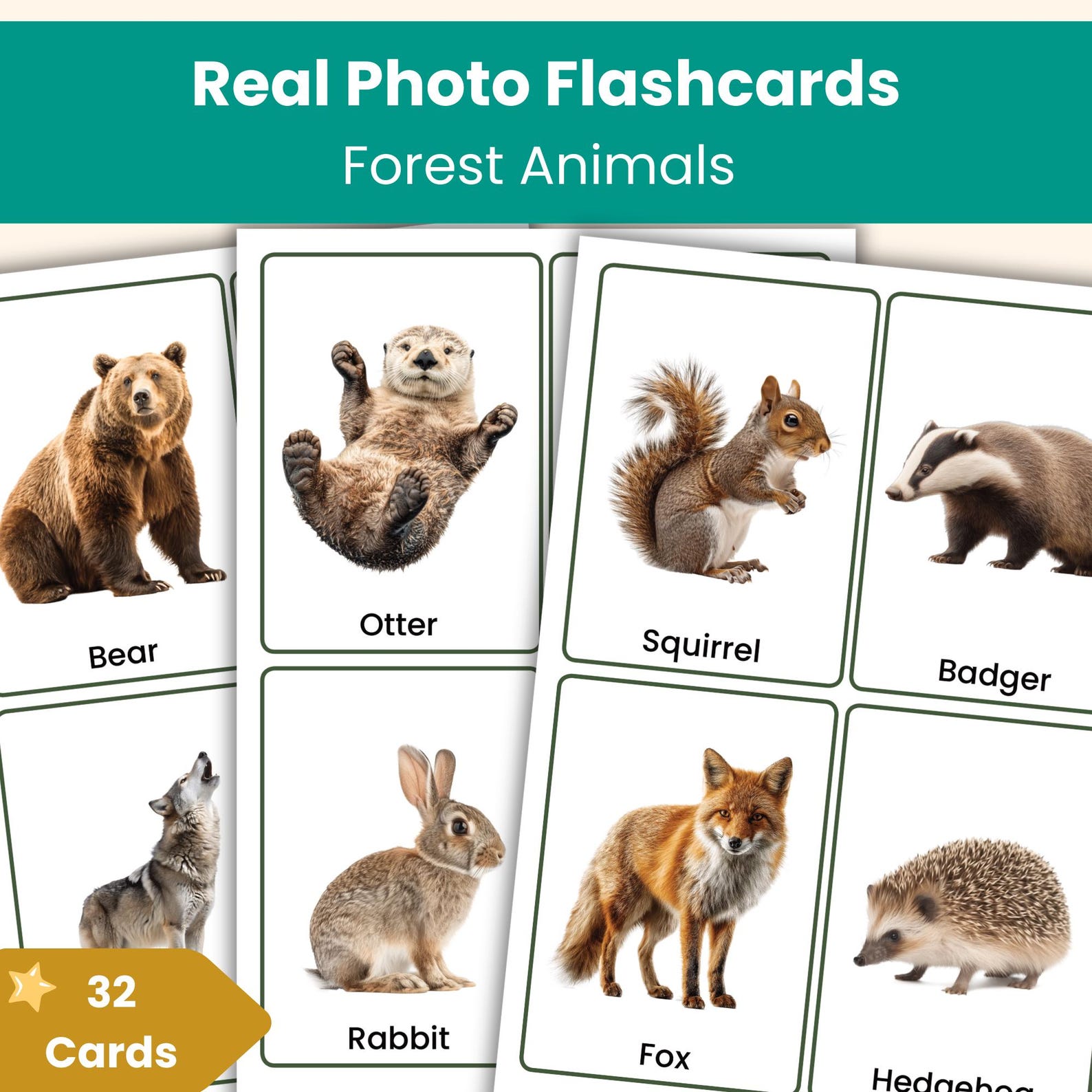 Forest Animals Flashcards | Real Photo Animal Vocabulary Cards for Kids ...