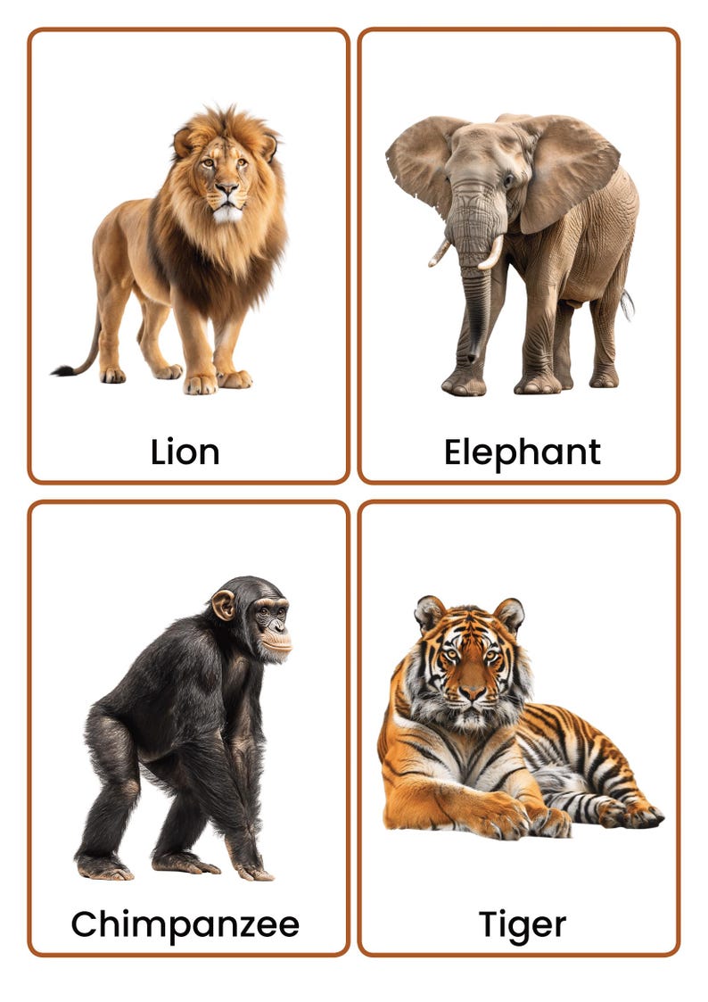 Wild Animals Flashcards | Real Photo Animal Vocabulary Cards for Kids ...