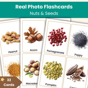 32 Nuts and Seeds Real Photo Flashcards | Food Vocabulary | Vocabulary Cards for Kids | Classroom and Home Learning, ESL Resource