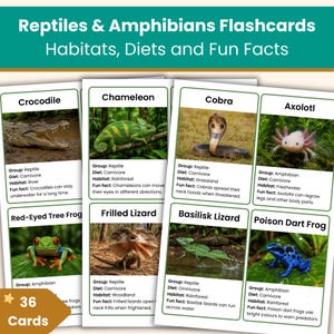 May include: Flashcards featuring reptiles and amphibians, including a crocodile, chameleon, cobra, axolotl, red-eyed tree frog, frilled lizard, basilisk lizard, and poison dart frog. The cards display habitats, diets, and fun facts. The set includes 36 cards.