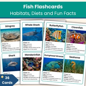 Può includere: Flashcard di pesci con varie creature marine, tra cui razze, squali balena, pesci farfalla e pesci pagliaccio. Le carte mostrano habitat, diete e curiosità. Il set include 36 carte. Il testo recita 'Fish Flashcards, Habitats, Diets and Fun Facts'.
