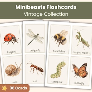 May include: A set of Minibeasts Flashcards Vintage Collection featuring 36 cards. Each card displays a detailed illustration of an insect or small creature with its name printed below, including a ladybird, dragonfly, bumblebee, praying mantis, snail, ant, caterpillar, and butterfly.