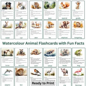Tarjetas de acuarela con animales / 28 fichas con datos curiosos para niños / Recursos de ciencias imprimibles para KS1