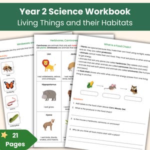 Year 2 Living Things and their Habitats Workbook | KS1 Science Worksheets | National Curriculum | Printable Science Lesson Resource