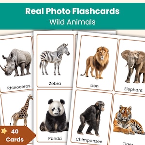 Tarjetas de vocabulario de animales salvajes / Tarjetas de vocabulario de animales con fotos reales para niños / Preescolar y jardín de infantes