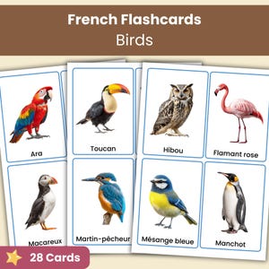 Peut inclure: Un ensemble de 28 cartes éducatives intitulé French Flashcards Birds. Chaque carte présente une illustration réaliste d'oiseau avec son nom français imprimé en dessous, incluant Ara, Toucan, Hibou, Flamant rose, Macareux, Martin-pêcheur, Mésange bleue et Manchot.