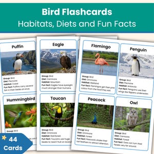 Puede incluir: Un conjunto de 44 tarjetas didácticas de aves con el título "Tarjetas de Aves: Hábitats, Dietas y Datos Curiosos". Cada tarjeta presenta un ave diferente, como un frailecillo, águila, flamenco, pingüino, colibrí, tucán, pavo real y búho, con datos.