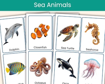 Sea Animals Flashcards | Ocean Animals, Animal Vocabulary | Printable Real Photo Cards
