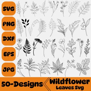 Wildblumen Blätter SVG-Bundle, Hand gezeichnete Png, Wildblumen Blumen, Wildblumen Kunst, Cricut Silhouette, Png, Dxf, Eps, Jpg
