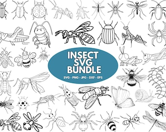 Vintage Insect Clipart: Bug SVG Bundle (Digital Download)