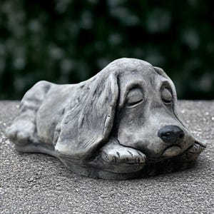 Könnte beinhalten: Graue, schlafende Basset Hound-Statue. Der Hund liegt mit geschlossenen Augen und Kopf auf der Pfote. Die Statue hat eine schwarze Nase und lange, schlaffe Ohren. Die Skulptur ist aus Stein.