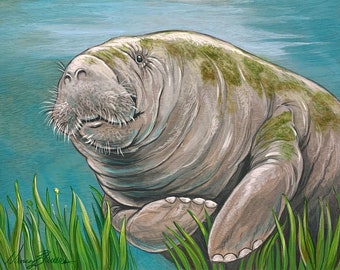 Whiskers, Manatee Portrait Fine Art Print