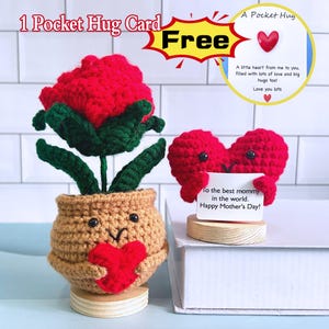 Rosa/Corazón de crochet hecho a mano, Ideas de regalo para mujer, Maceta de rosas, Regalo para el Día del Padre, Rosa roja con abrazo de corazón rojo, Tarjeta de abrazo de bolsillo, Regalo para ella