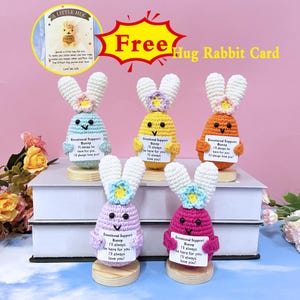Entzückende handgemachte Häkelarbeit emotionale Unterstützung Kaninchen Ei, gehäkelte Kaninchen Osterei, Free Hug Kaninchen / Häschenkarte, häkeln Kaninchen / Häschen mit Blume