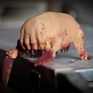Half-Life Headcrab STL File