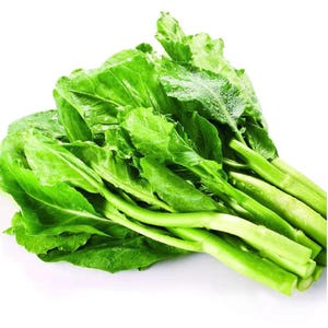 Expédier depuis les États-Unis&quot; Brocoli chinois/LAN GAI 鸡腿芥兰/芥蓝 耐热 新种子