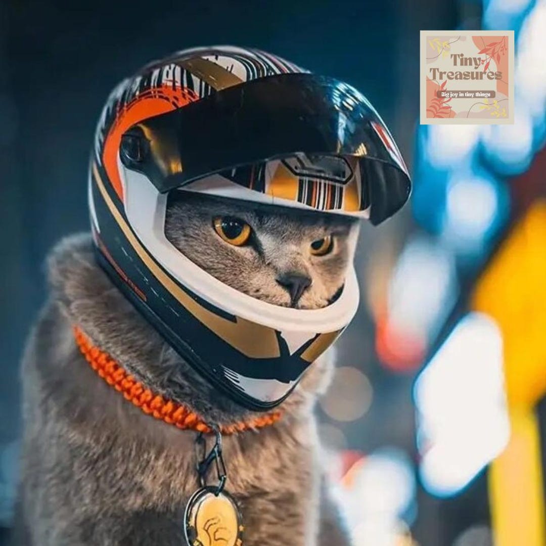 Mini Motorcycle Helmet for Cats Small Dogs Styles Pet Biker