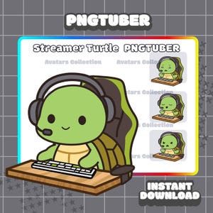 May include: A cartoon image of a green turtle wearing a headset and sitting at a desk with a keyboard. The text "Streamer Turtle PNGTUBER" is at the top, with "Instant Download" at the bottom. Additional smaller images of the turtle are also present.