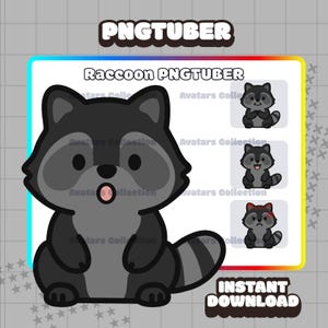 Pngtuber - Black Raccoon pngtuber model | Kawaii | Chibi | Ready For Twitch | VTuber Avatar Streaming | Vtuber Assets | Premade PNGTuber